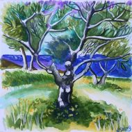 Olive tree at Avdhimou Artwork: Olive tree at Avdhimou